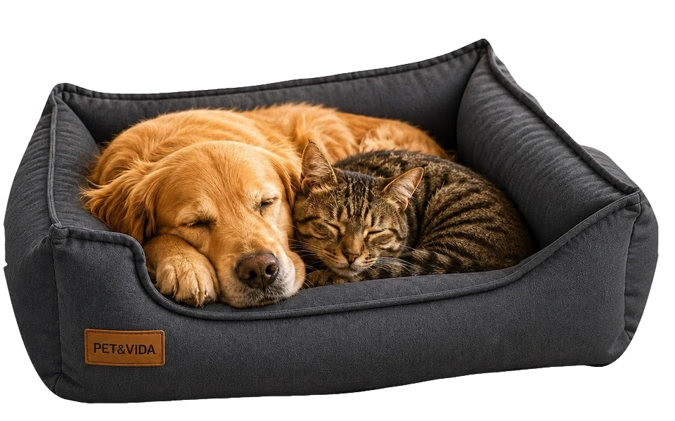 Cachorro e gato deitados na Cama Conforto Premium cinza-chumbo da Pet & Vida
